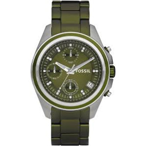 Watch strap Fossil ES2917 Steel Green 18mm